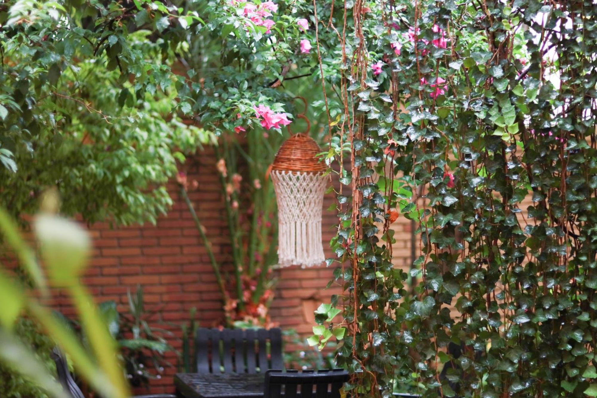 Casa Guanab Guest House Oaxaca Exterior photo
