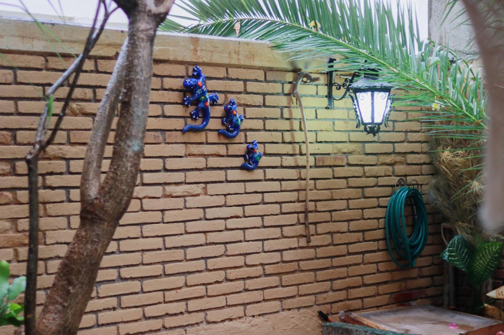 Casa Guanab Guest House Oaxaca Exterior photo