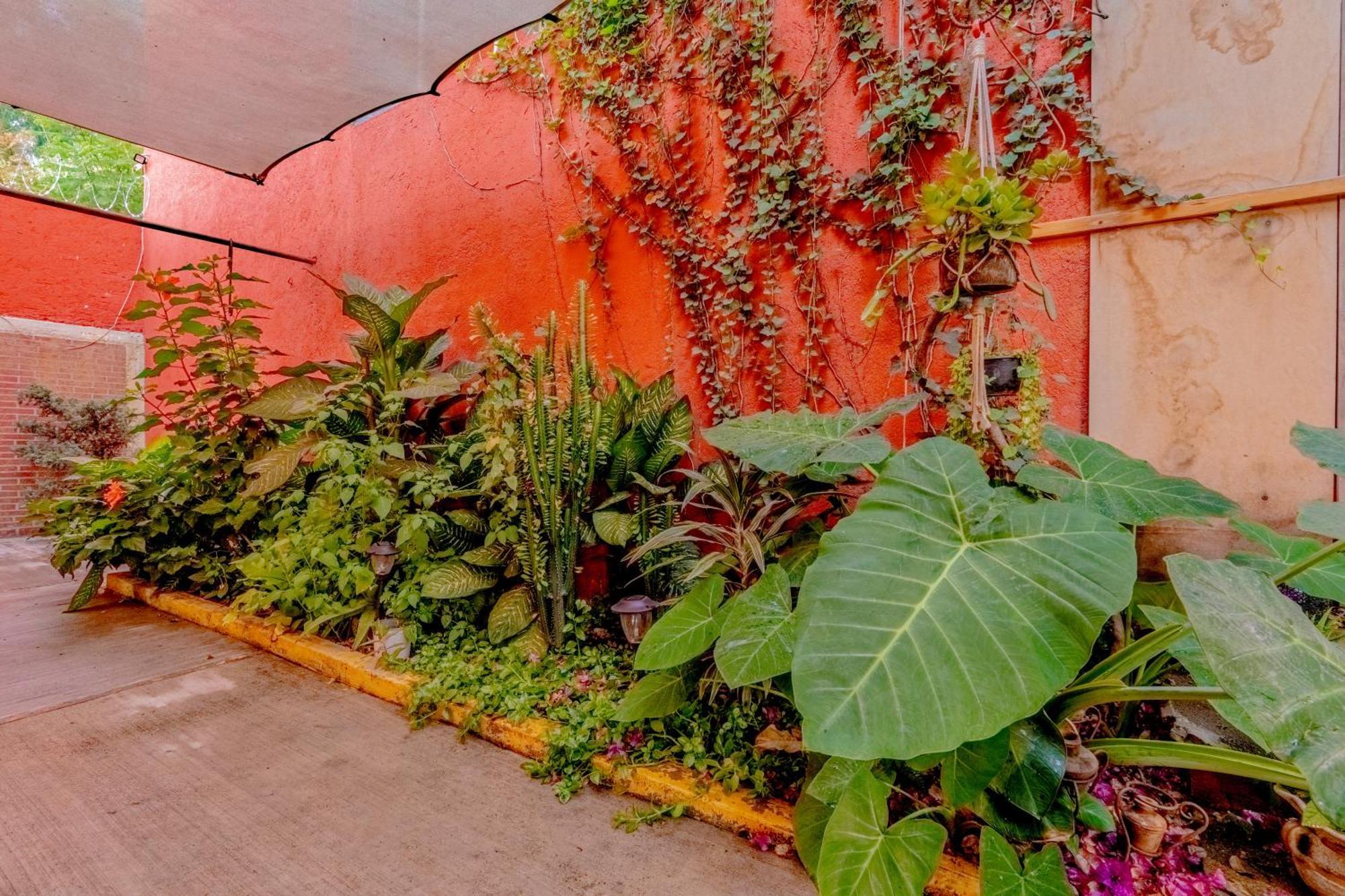Casa Guanab Guest House Oaxaca Exterior photo