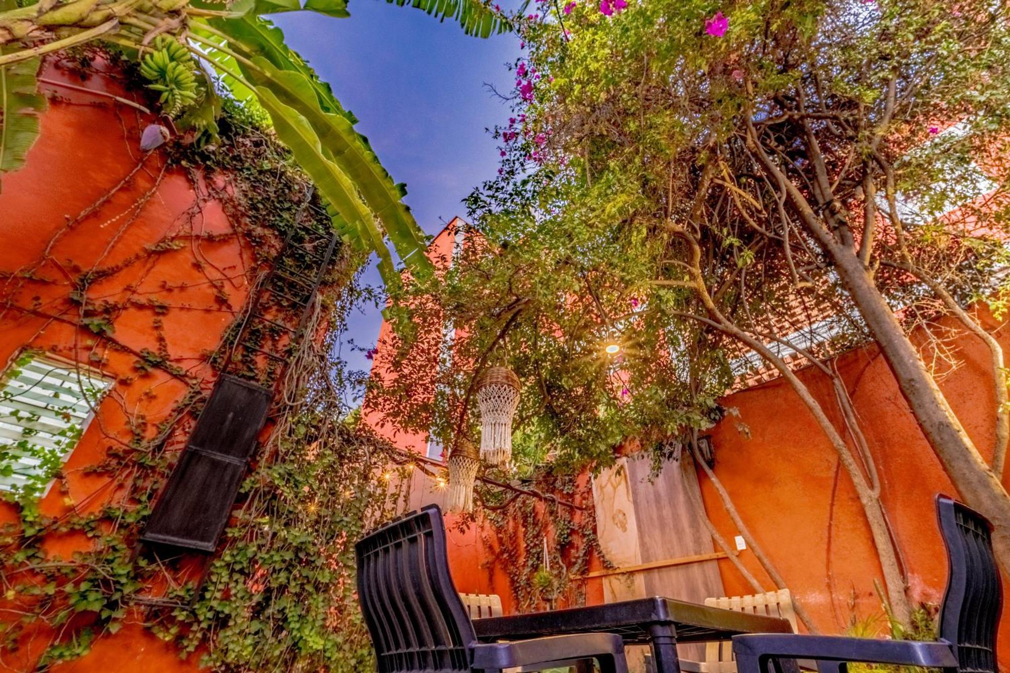 Casa Guanab Guest House Oaxaca Exterior photo